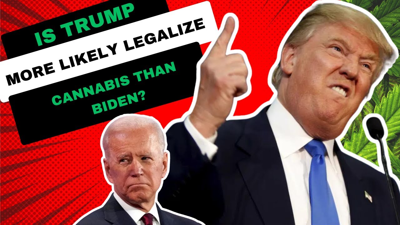 Is Trump More Likely Legalize Cannabis Than Biden